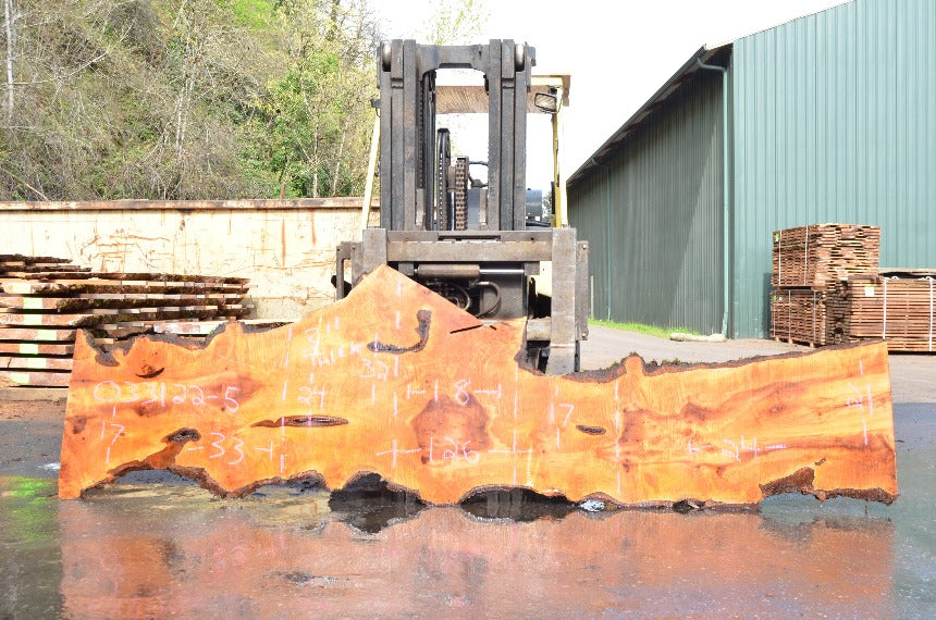 Big Leaf Maple Slab 033122-05
