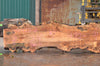 Big Leaf Maple Slab 091422-02
