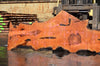 Big Leaf Maple Slab 033122-05