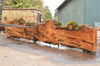 Big Leaf Maple Slab 091422-03