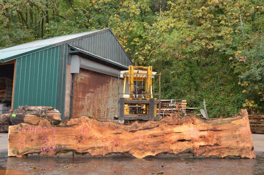 Big Leaf Maple Slab 091422-03