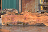 Big Leaf Maple Slab 091422-03