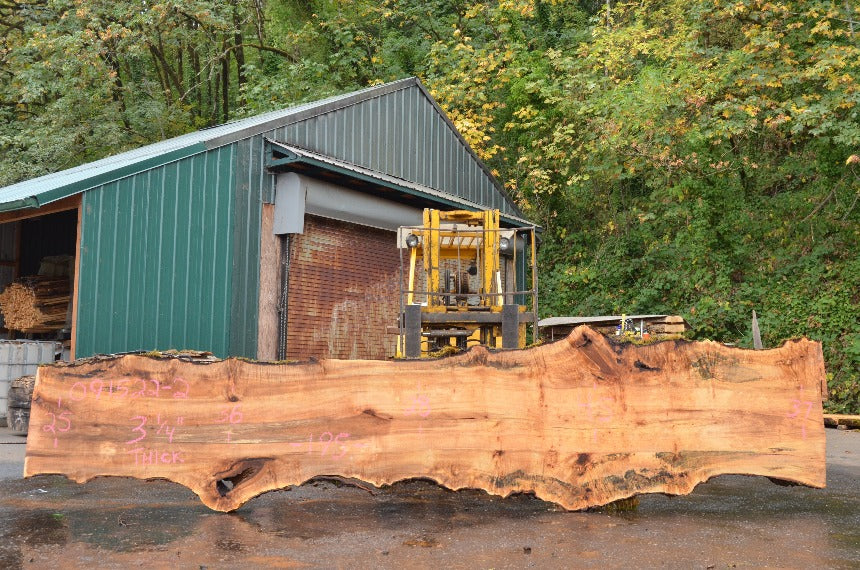 Big Leaf Maple Slab 091522-02
