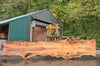 Big Leaf Maple Slab 091522-02
