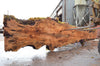 Big Leaf Maple Slab 091522-03