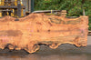 Big Leaf Maple Slab 091522-03