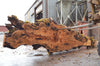 Big Leaf Maple Slab 091522-04
