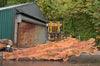 Big Leaf Maple Slab 091522-04