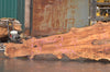 Big Leaf Maple Slab 091522-04