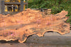 Big Leaf Maple Slab 091522-04