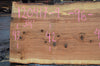 Red Oak Slab 120417-04