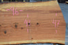 Red Oak Slab 120417-04