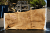 Oregon White Oak Slab 091918-02