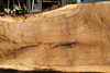 Oregon White Oak Slab 091918-02