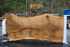 Oregon White Oak Slab 091918-10