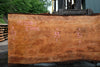 Redwood Slab 053018-01