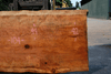 Redwood Slab 053018-04