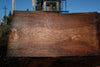 Elm Slab 010925-3