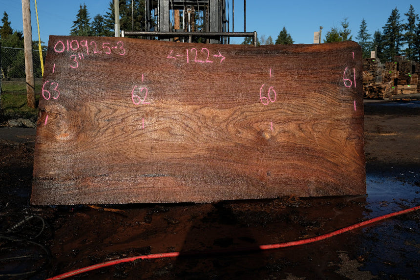Elm Slab 010925-3