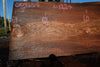 Elm Slab 010925-3