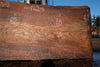 Elm Slab 010925-3