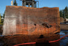Elm Slab 010925-4