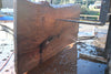 Elm Slab 010925-4