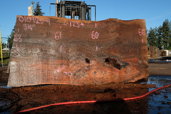 Elm Slab 010925-4