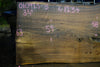 Elm Slab 010925-5