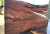 Elm Slab 010925-6