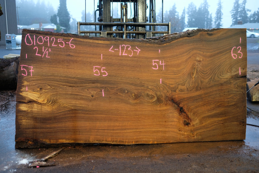 Elm Slab 010925-6