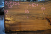 Elm Slab 010925-6