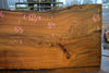 Elm Slab 010925-6