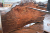 Elm Slab 010925-9