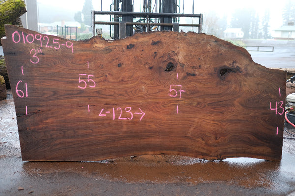 Elm Slab 010925-9