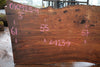 Elm Slab 010925-9