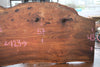Elm Slab 010925-9
