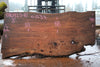 Elm Slab 010925-10
