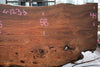 Elm Slab 010925-10