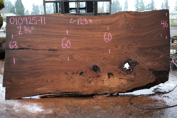 Elm Slab 010925-11