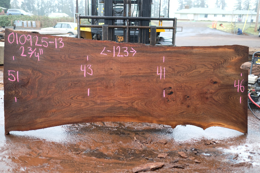 Elm Slab 010925-13