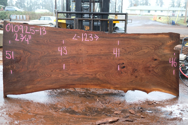Elm Slab 010925-13