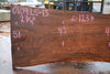 Elm Slab 010925-13
