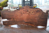 Elm Slab 010925-14