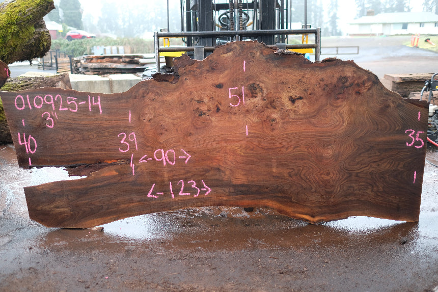 Elm Slab 010925-14