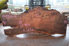 Elm Slab 010925-14