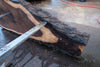Oregon Black Walnut Slab 013025-10