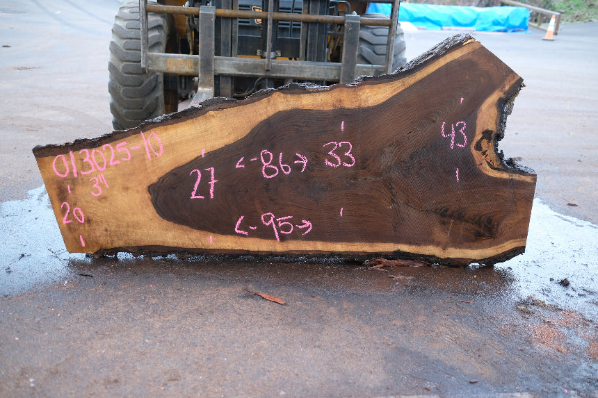 Oregon Black Walnut Slab 013025-10