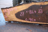 Oregon Black Walnut Slab 013025-10