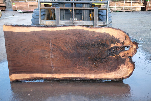 Oregon Black Walnut Slab 013025-11 – Goby Walnut Products, Inc